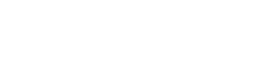 DIVECHI